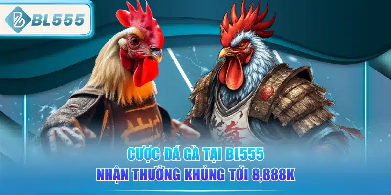 Đá Gà BL555 - Đam Mê, Chất Lượng Siêu Nét 4 cuoc-da-ga-tai-bl555-nhan-thuong-khung-toi-8888k