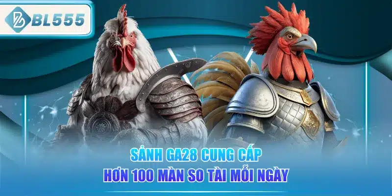 Đá Gà BL555 - Đam Mê, Chất Lượng Siêu Nét 3 sanh-ga28-cung-cap-hon-100-man-so-tai-moi-ngay