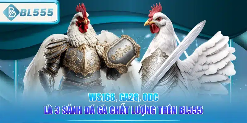Đá Gà BL555 - Đam Mê, Chất Lượng Siêu Nét 2 ws168-ga28-odc-la-3-sanh-da-ga-chat-luong-tren-bl555